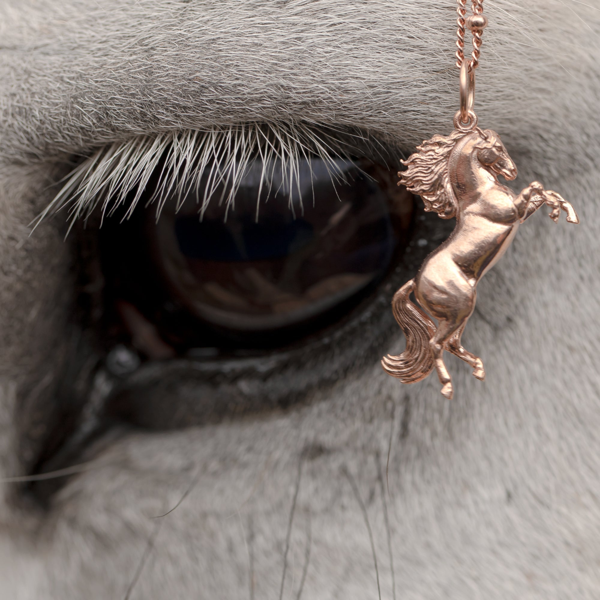 Horse jewellery: perfect for gifts or to treat yourself - The Wild Horse Club