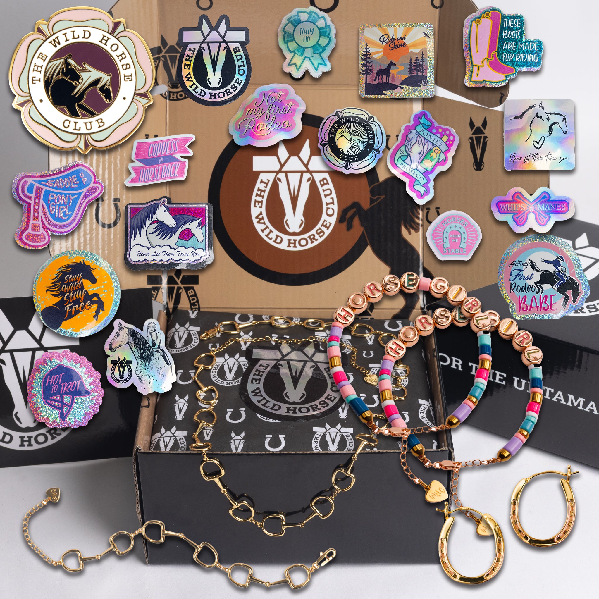 Bit by Bit - Stallion