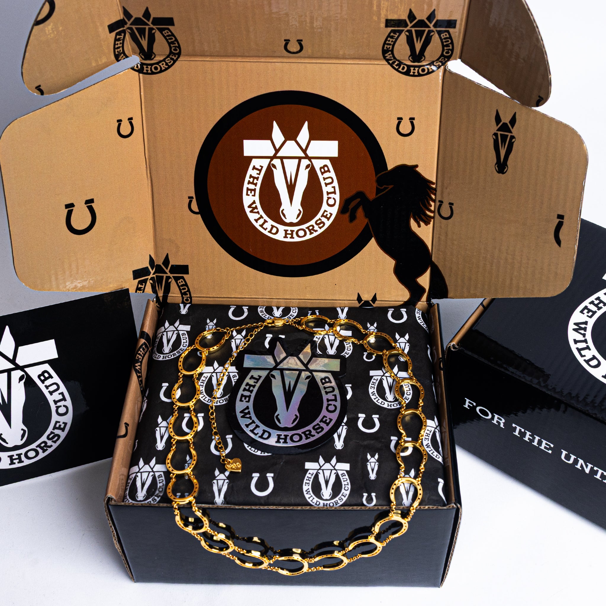 The Charmed Chain Gold Horseshoe Chain Necklace