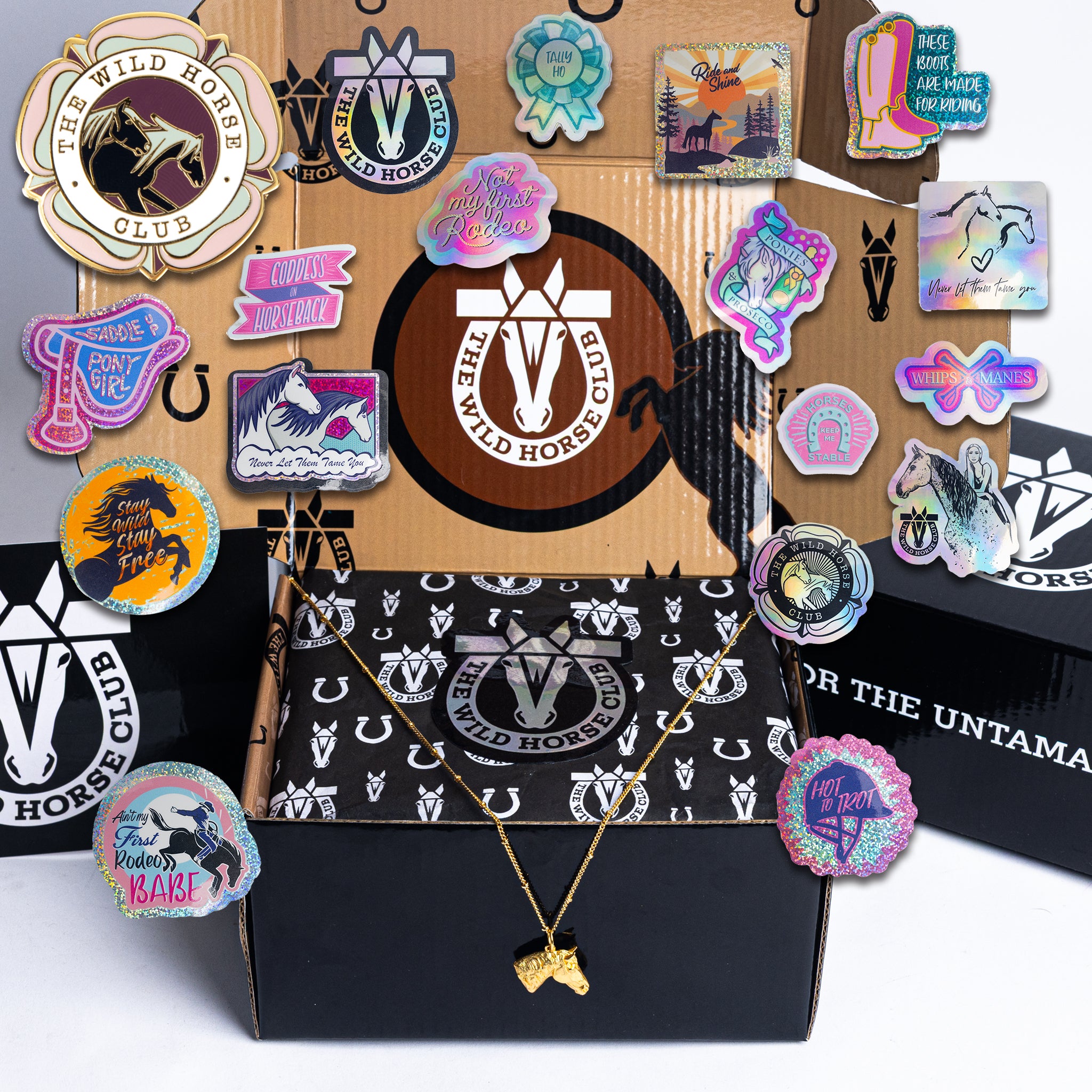 No Reigns No Rules - Quick Kick