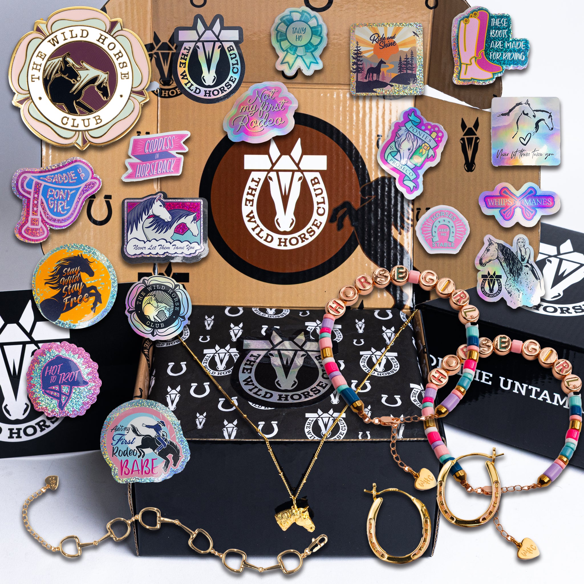 No Reigns No Rules - Stallion