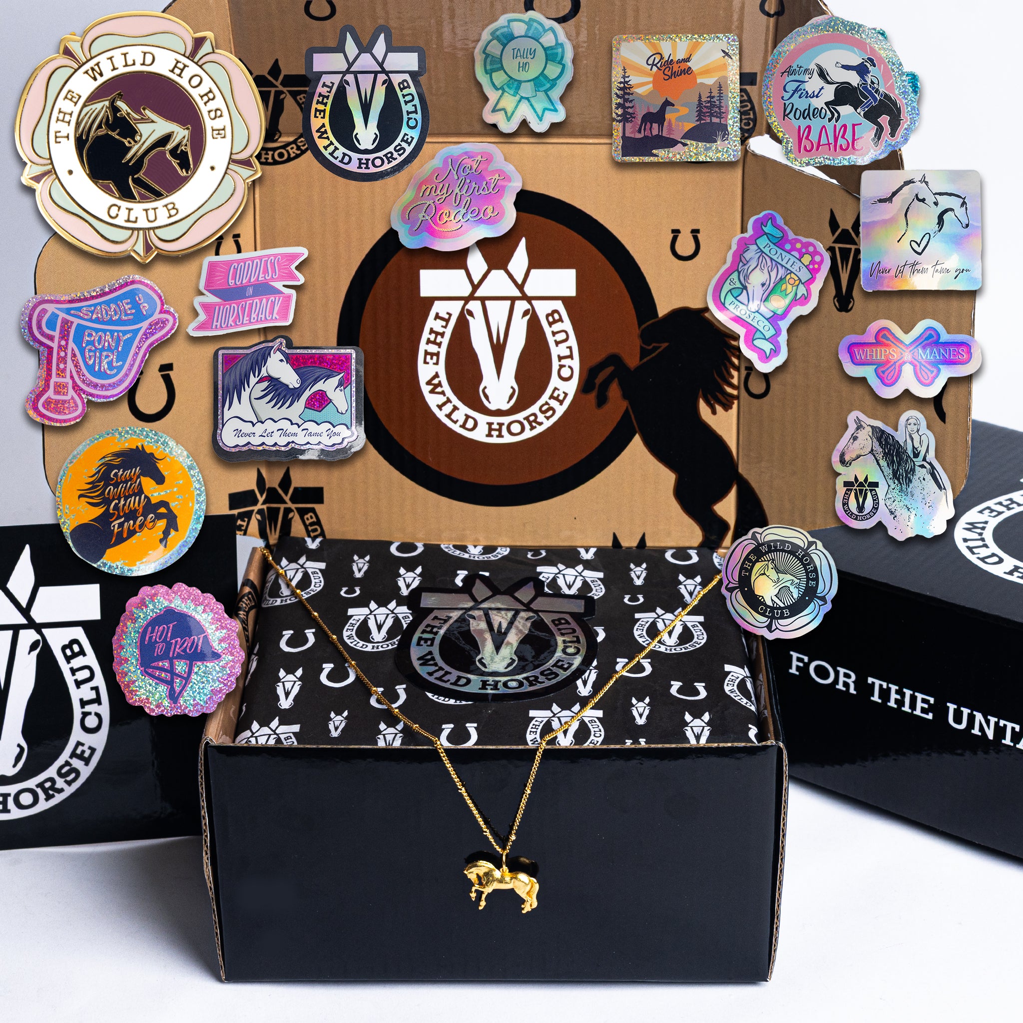 The Black King - Quick Kick