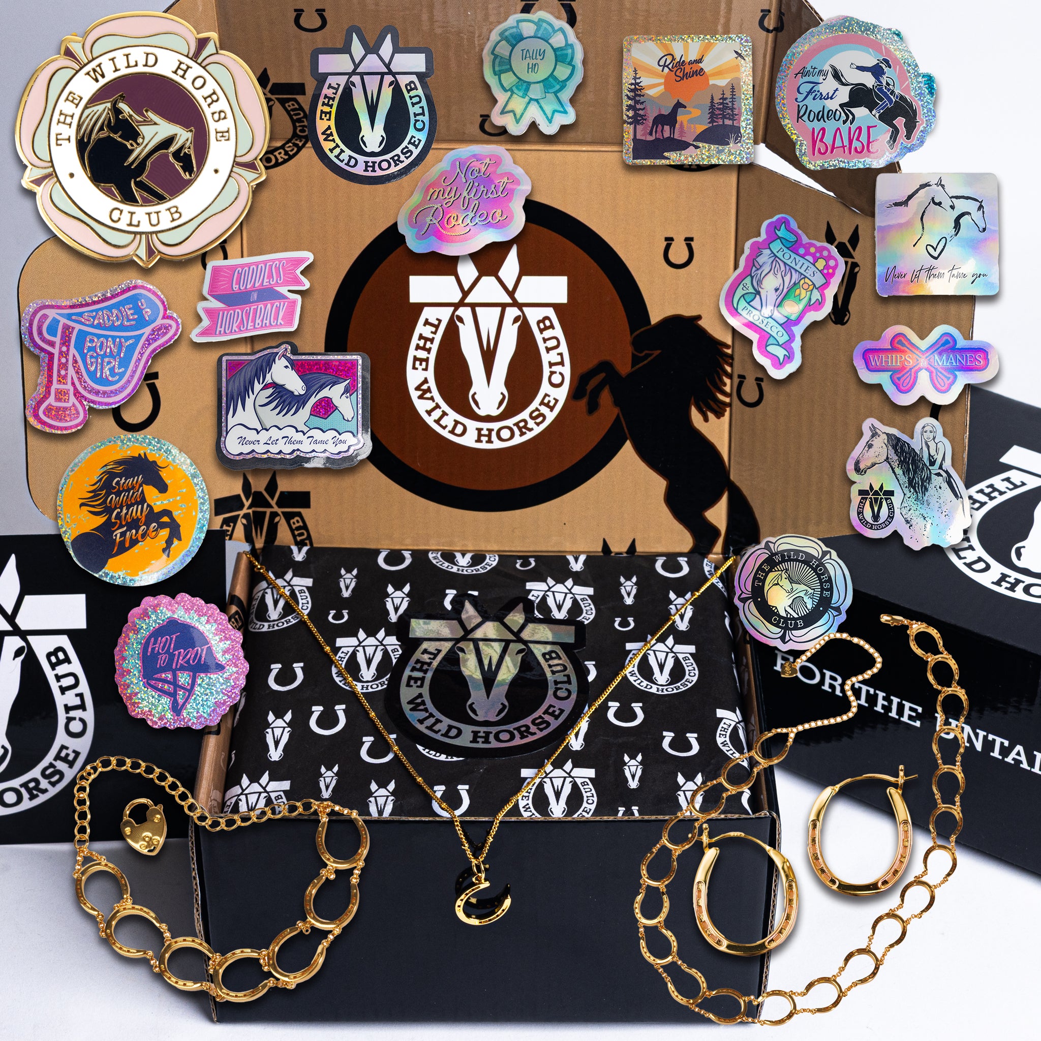 The Luck Always - Stallion