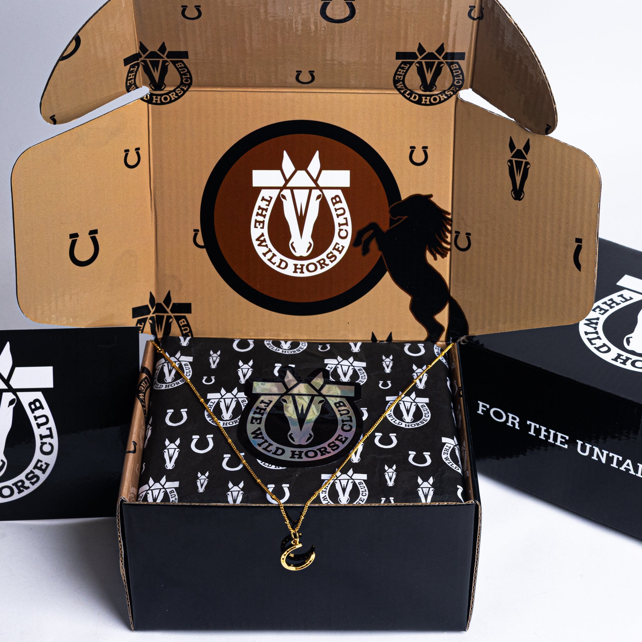 The Luck Always Gold Horsehshoe Pendant