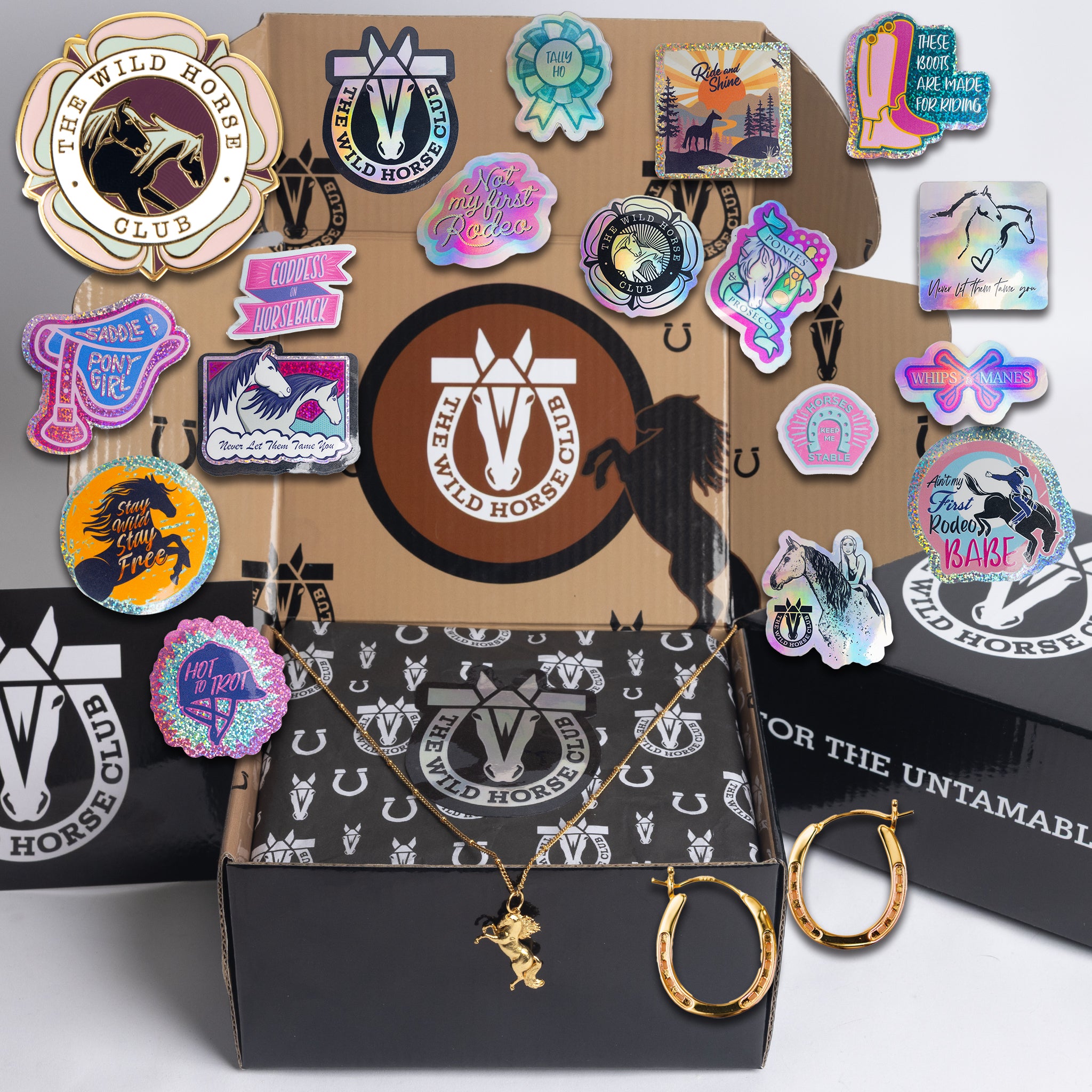 The Wild Flame - Bronco