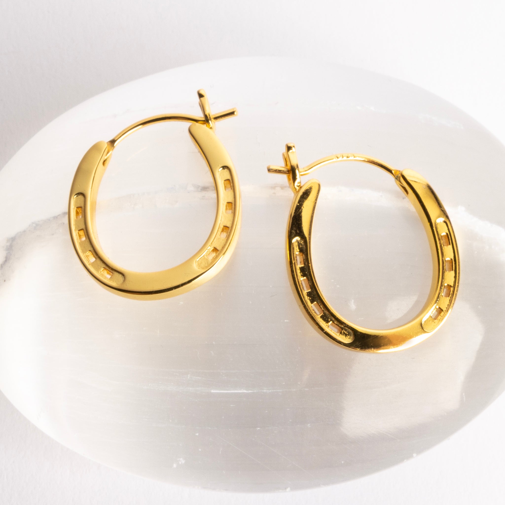 The Lucky Pair Gold Horseshoe Earrings
