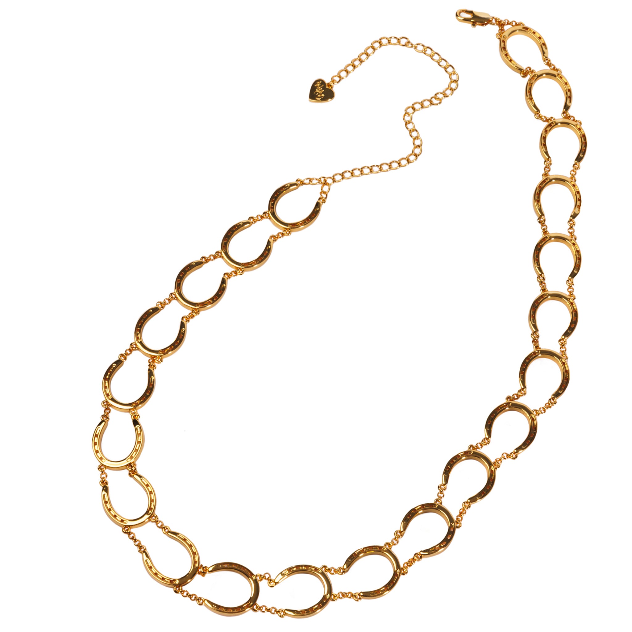 The Charmed Chain Silver Horseshoe Chain Necklace