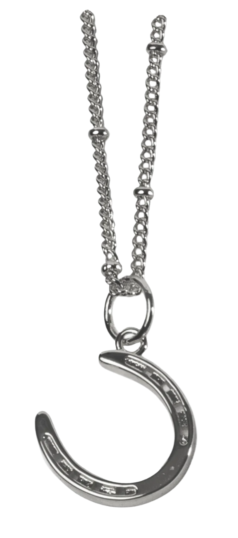 A close-up of a stunning silver necklace, perfect for horse jewelry lovers