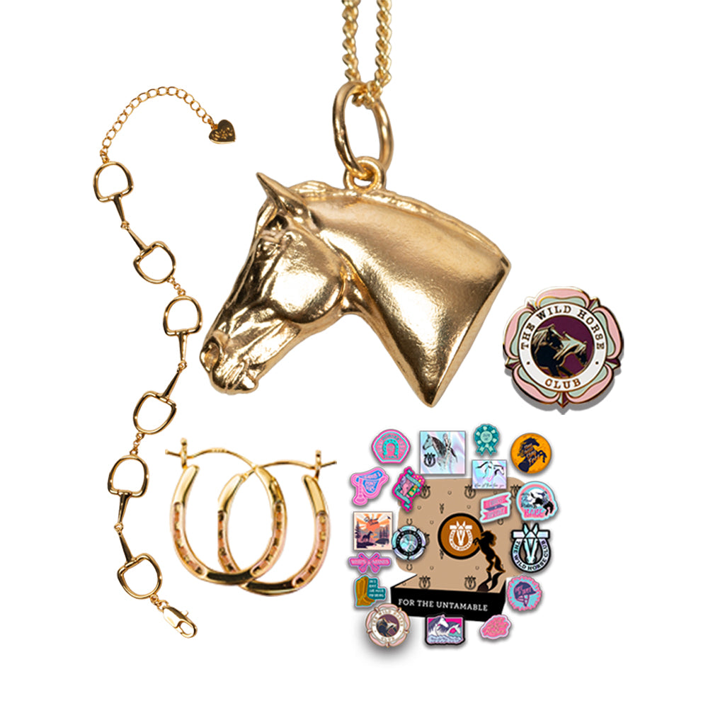 No Reigns No Rules - Mare