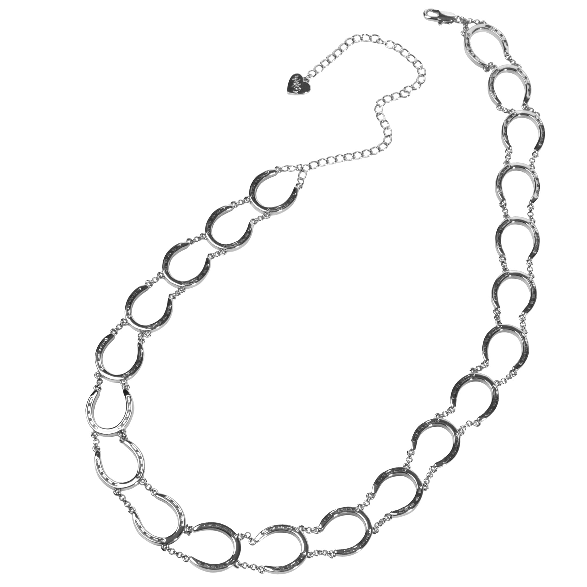 The Charmed Chain Gold Horseshoe Chain Necklace