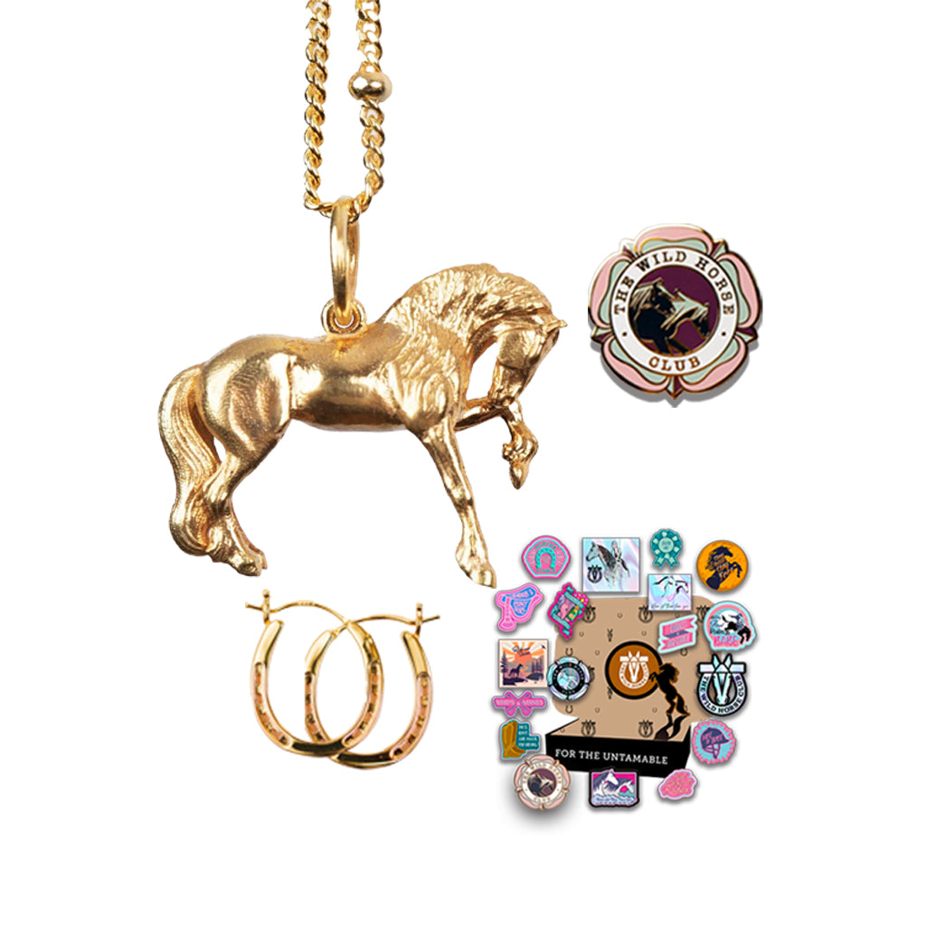 The Black King - Bronco