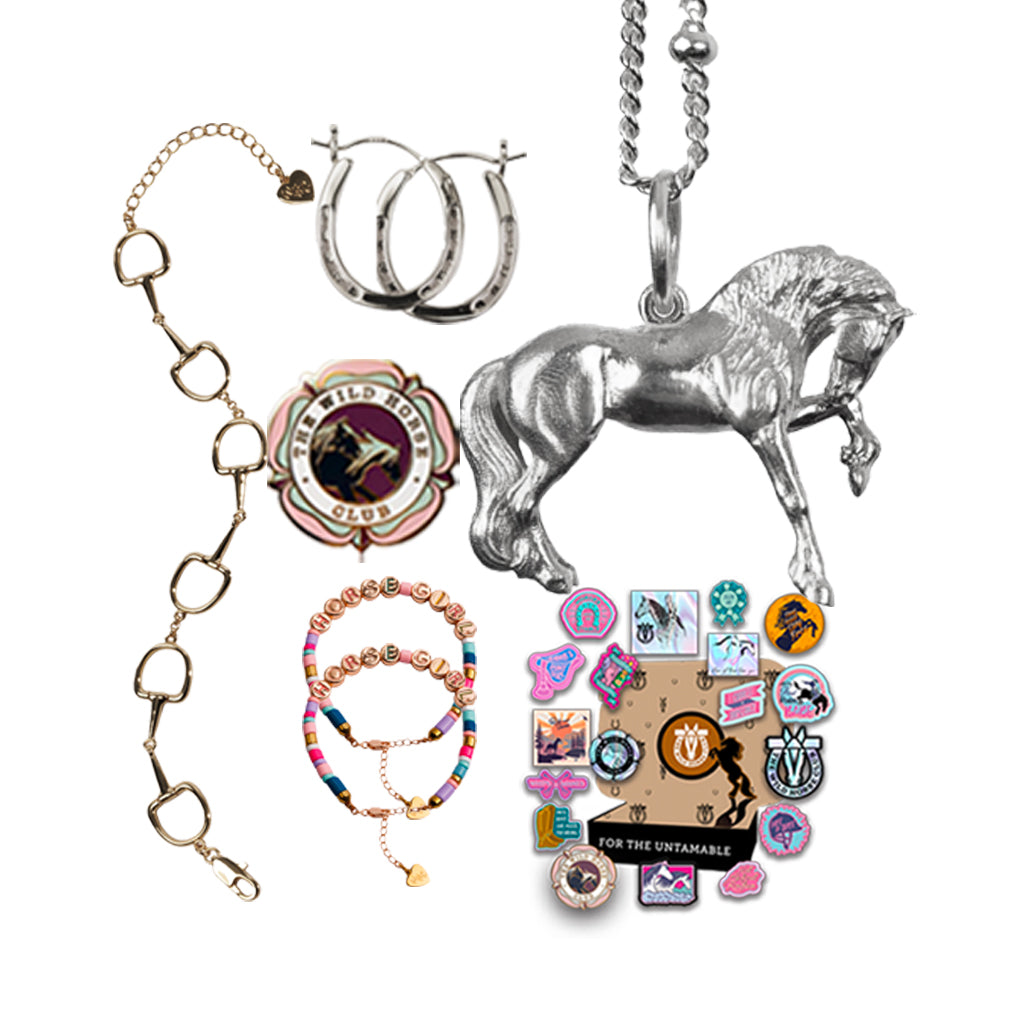 The Black King - Stallion