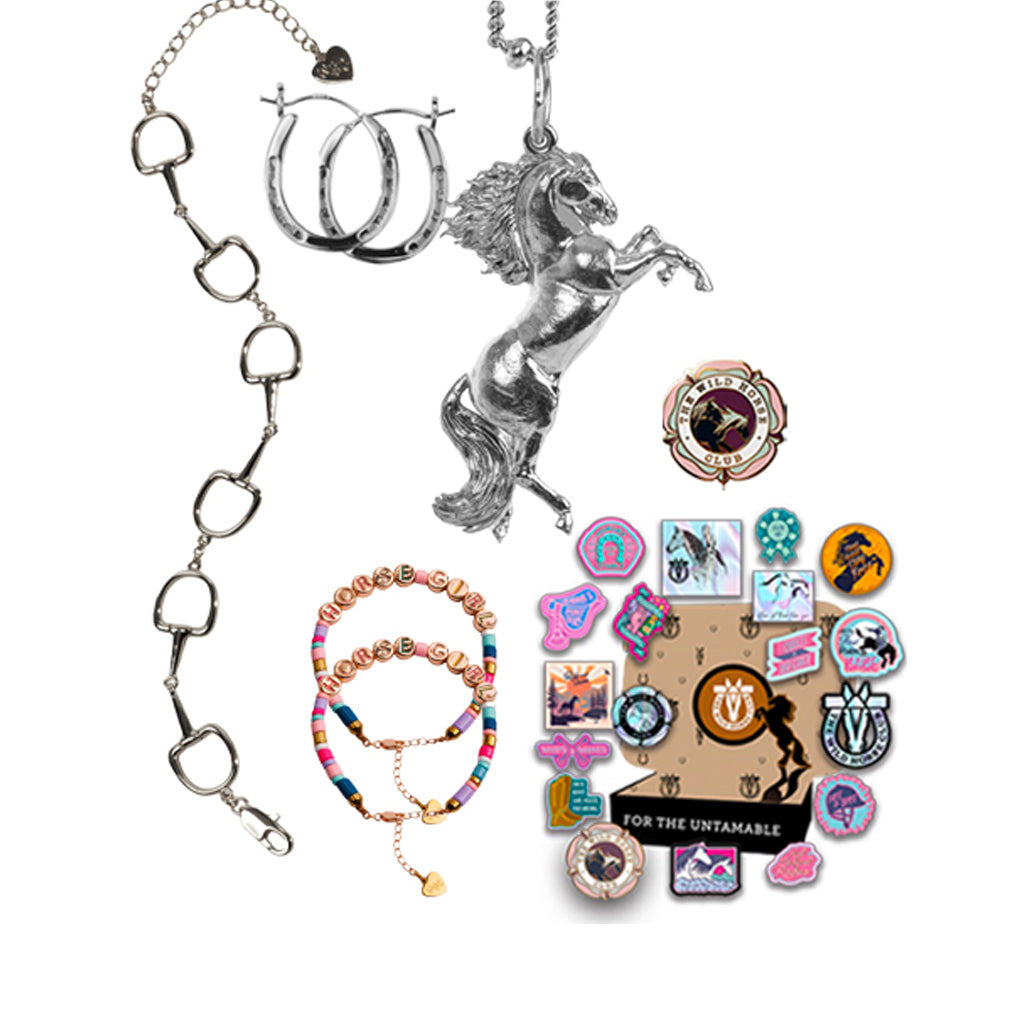 The Wild Flame - Stallion