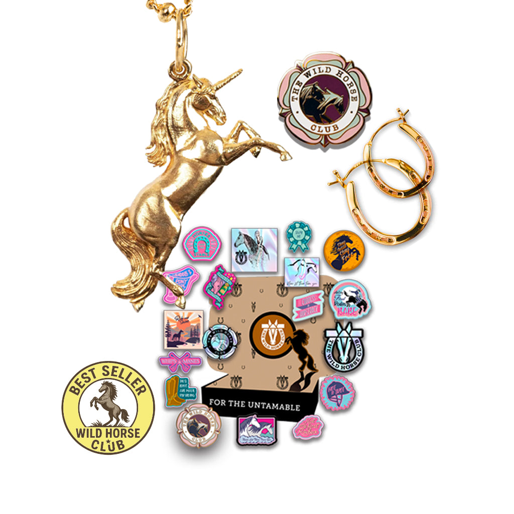 The Wish Keeper - Bronco