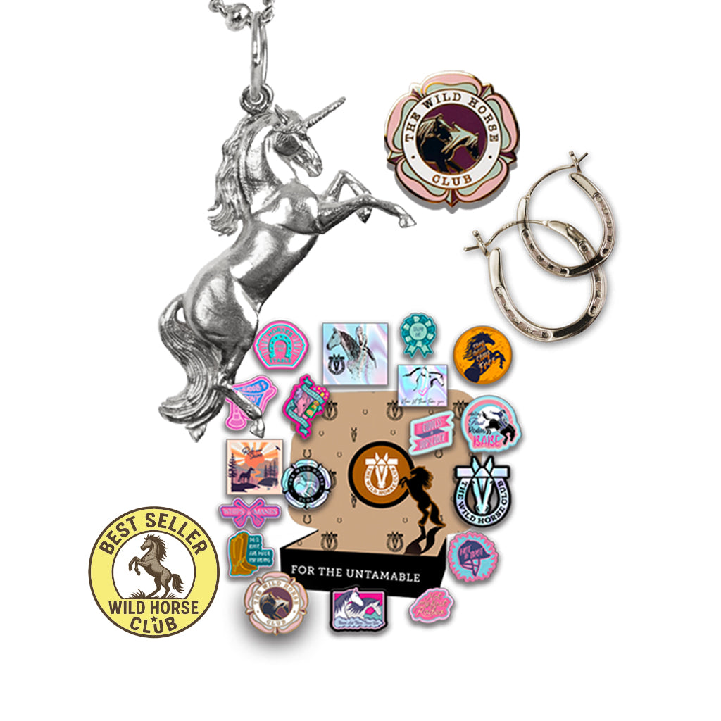 The Wish Keeper - Bronco