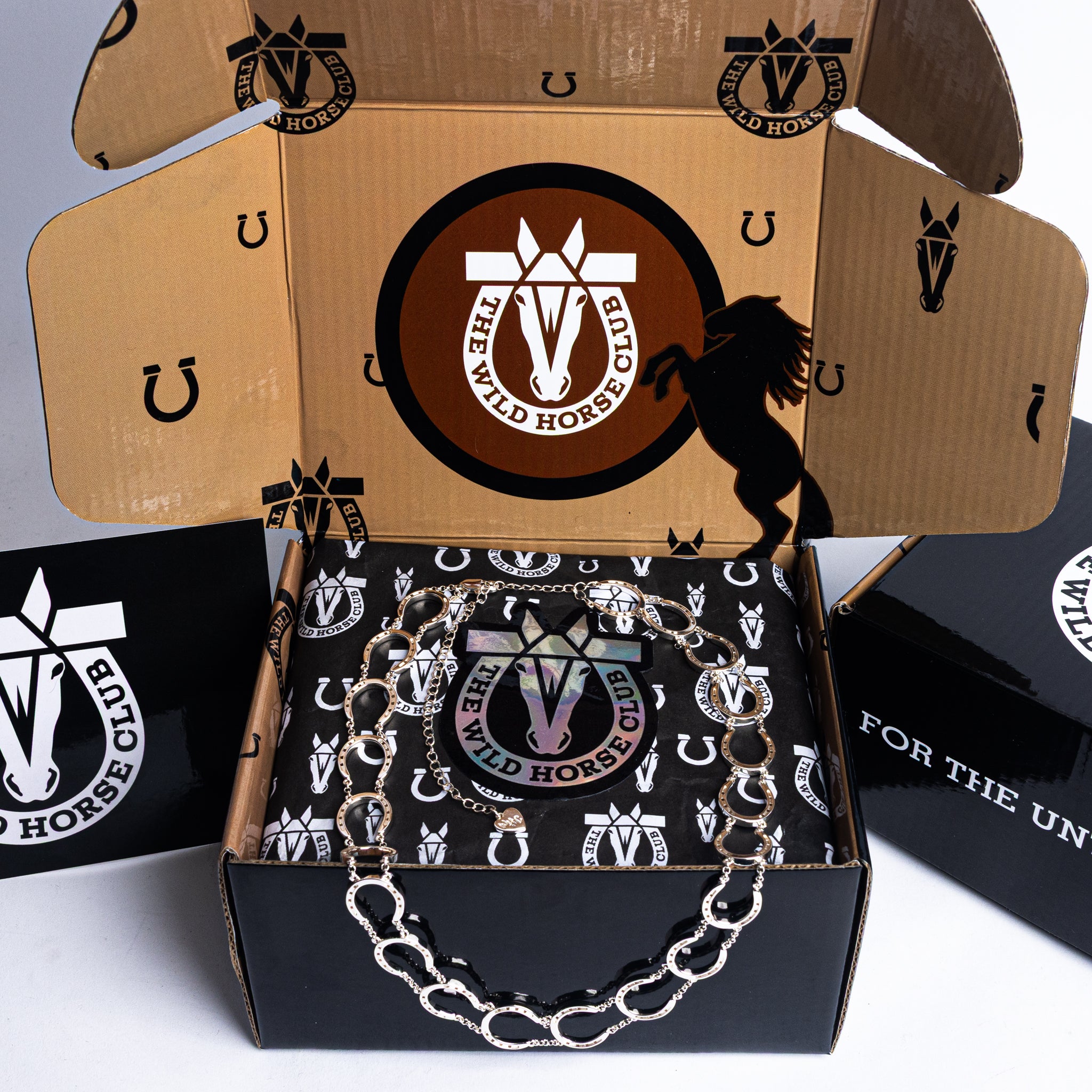 The Charmed Chain Silver Horseshoe Chain Necklace