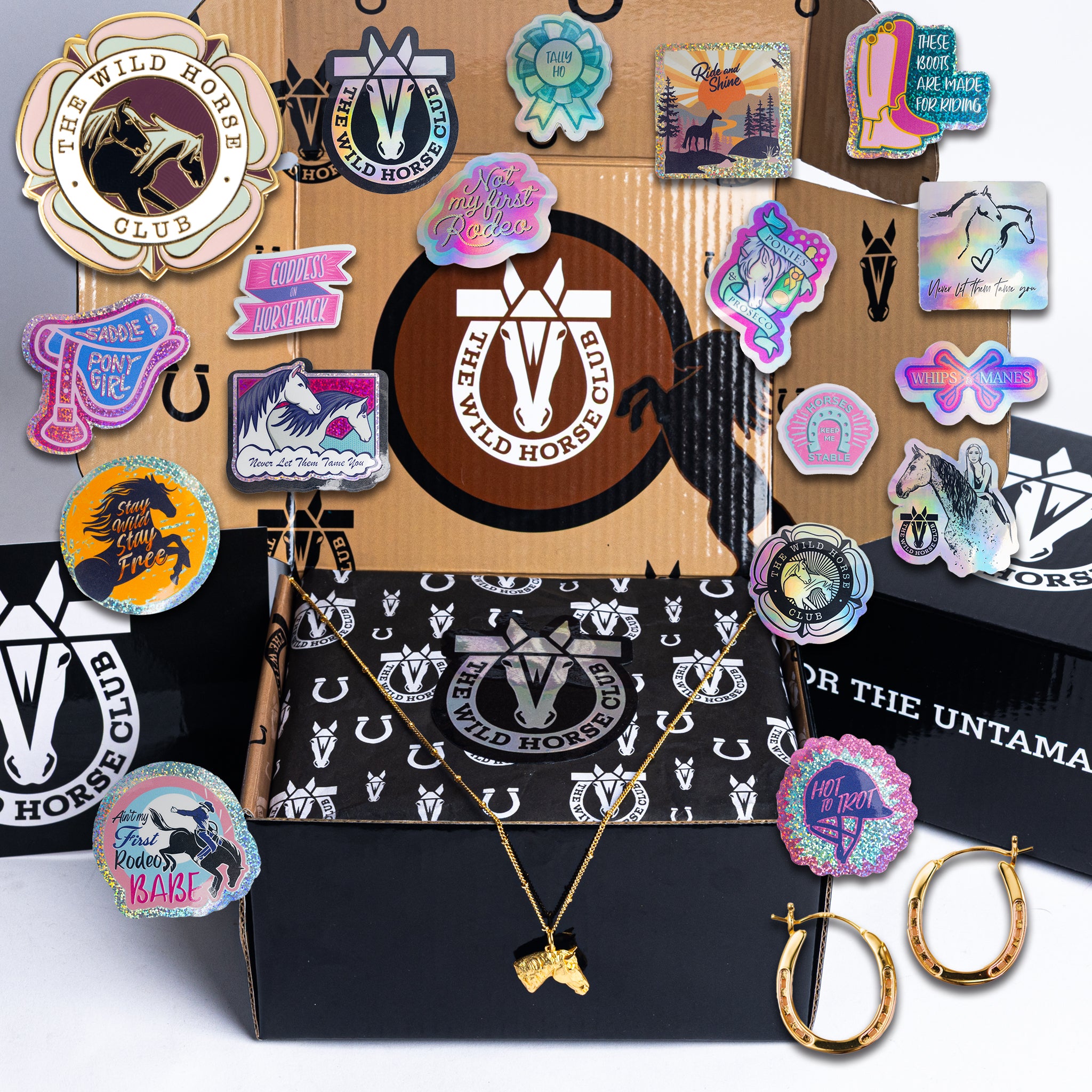 No Reigns No Rules - Bronco