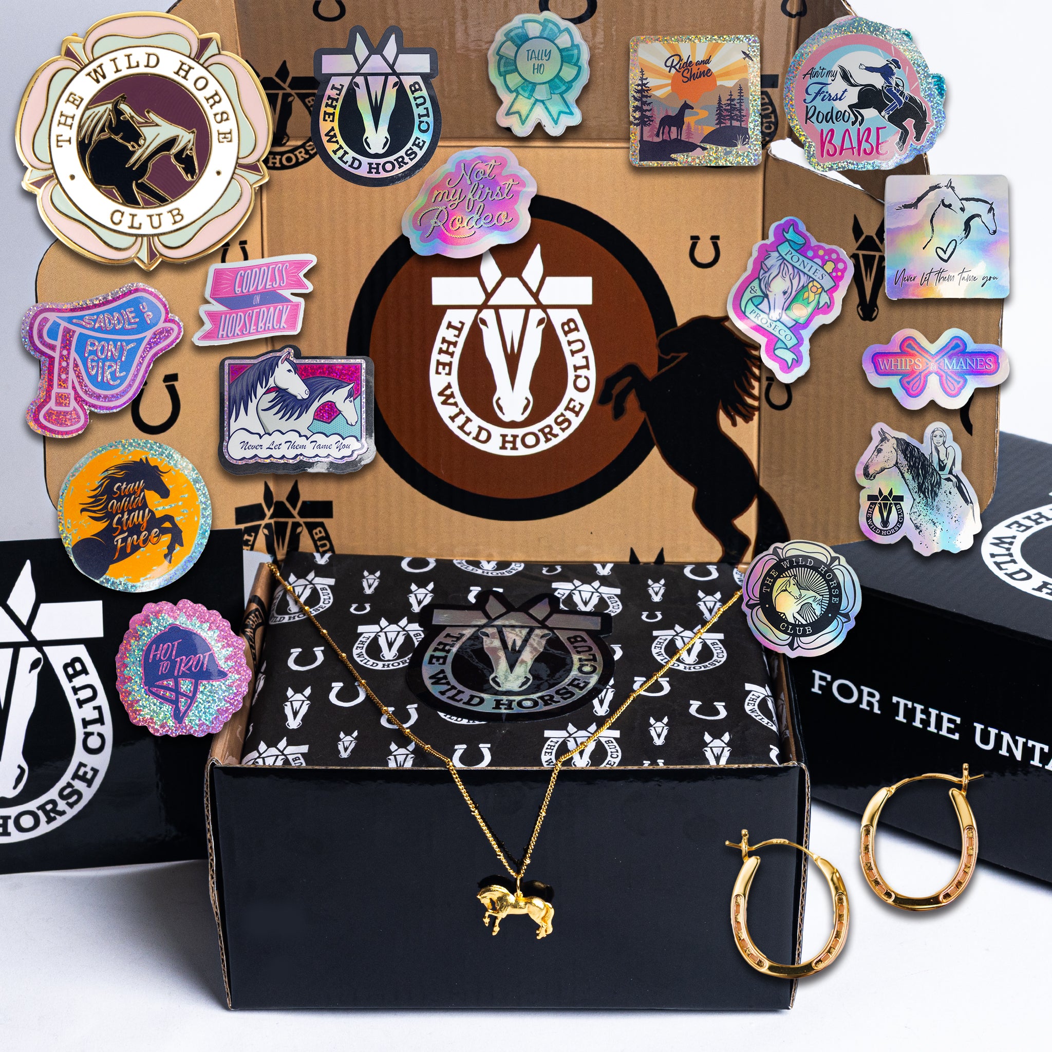 The Black King - Bronco