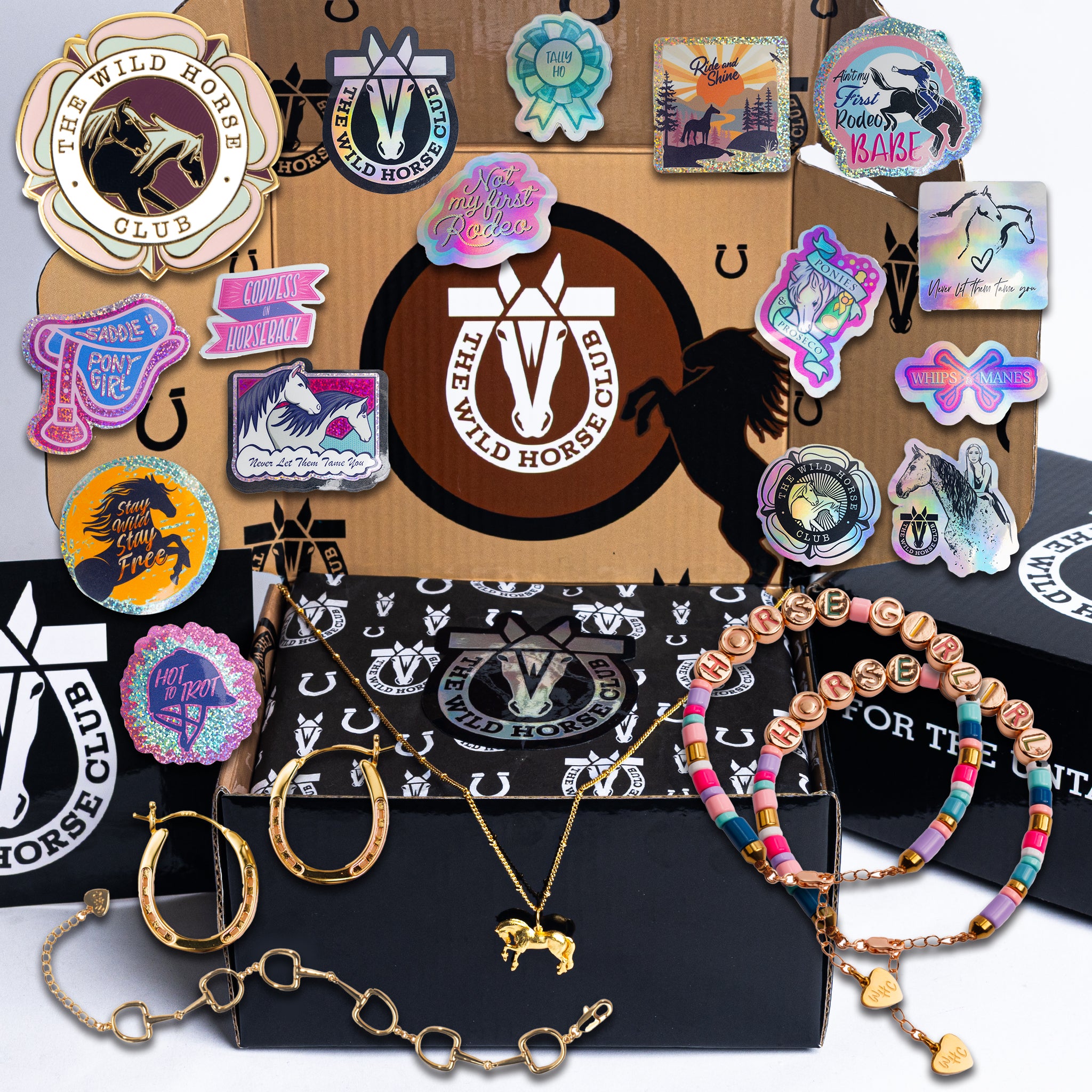 The Black King - Stallion