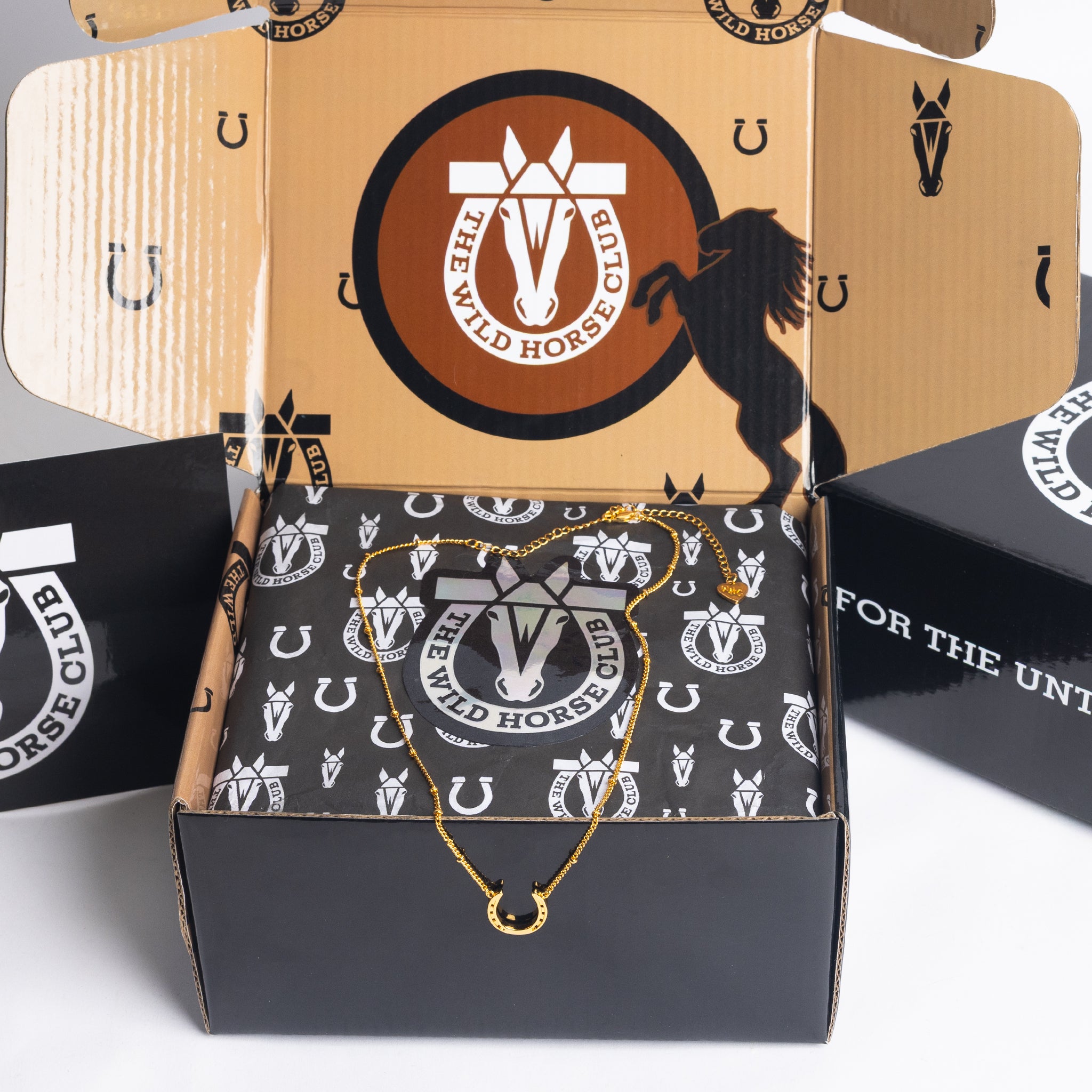 The Luck Keeper Gold Horseshoe Bobble Necklace