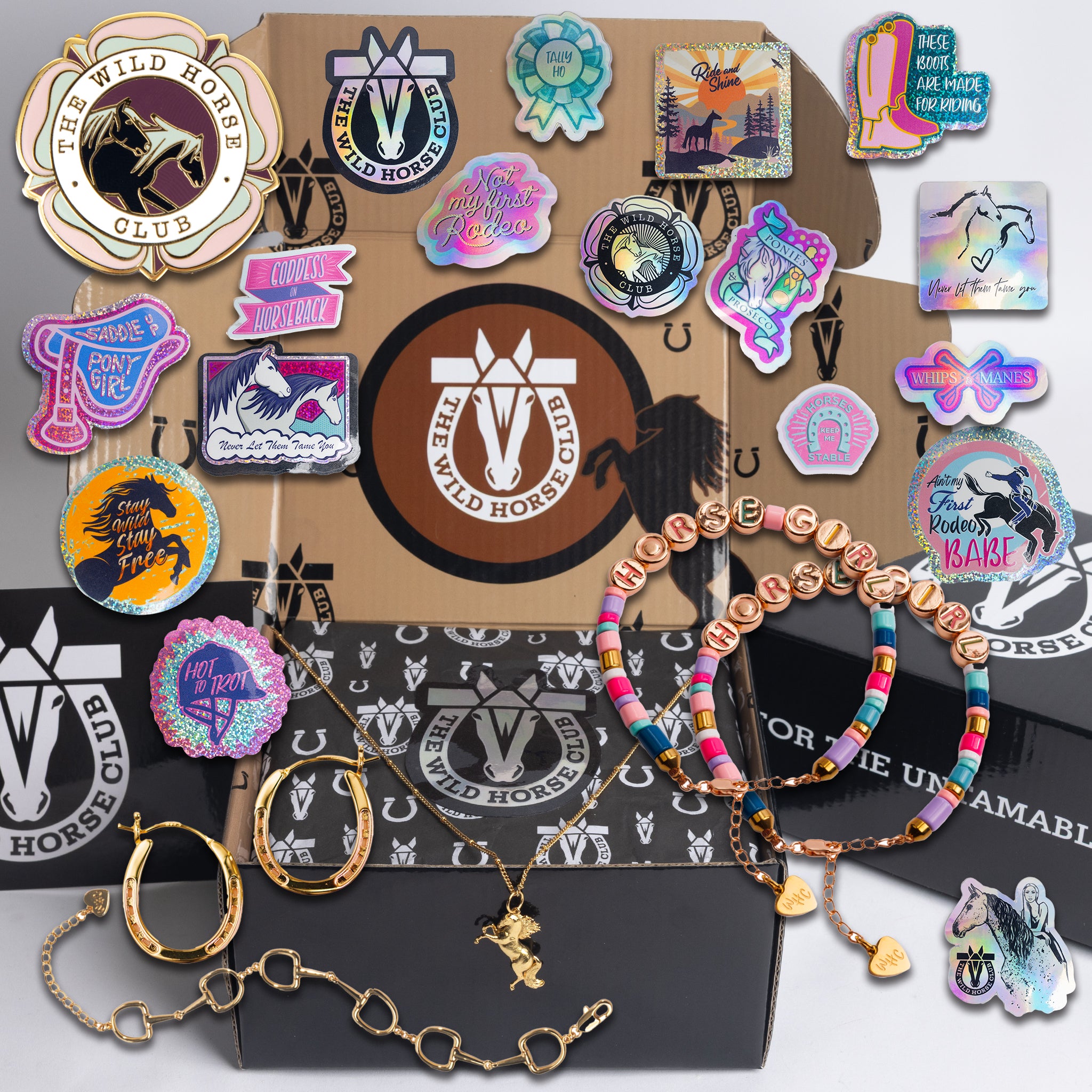 The Wild Flame - Stallion