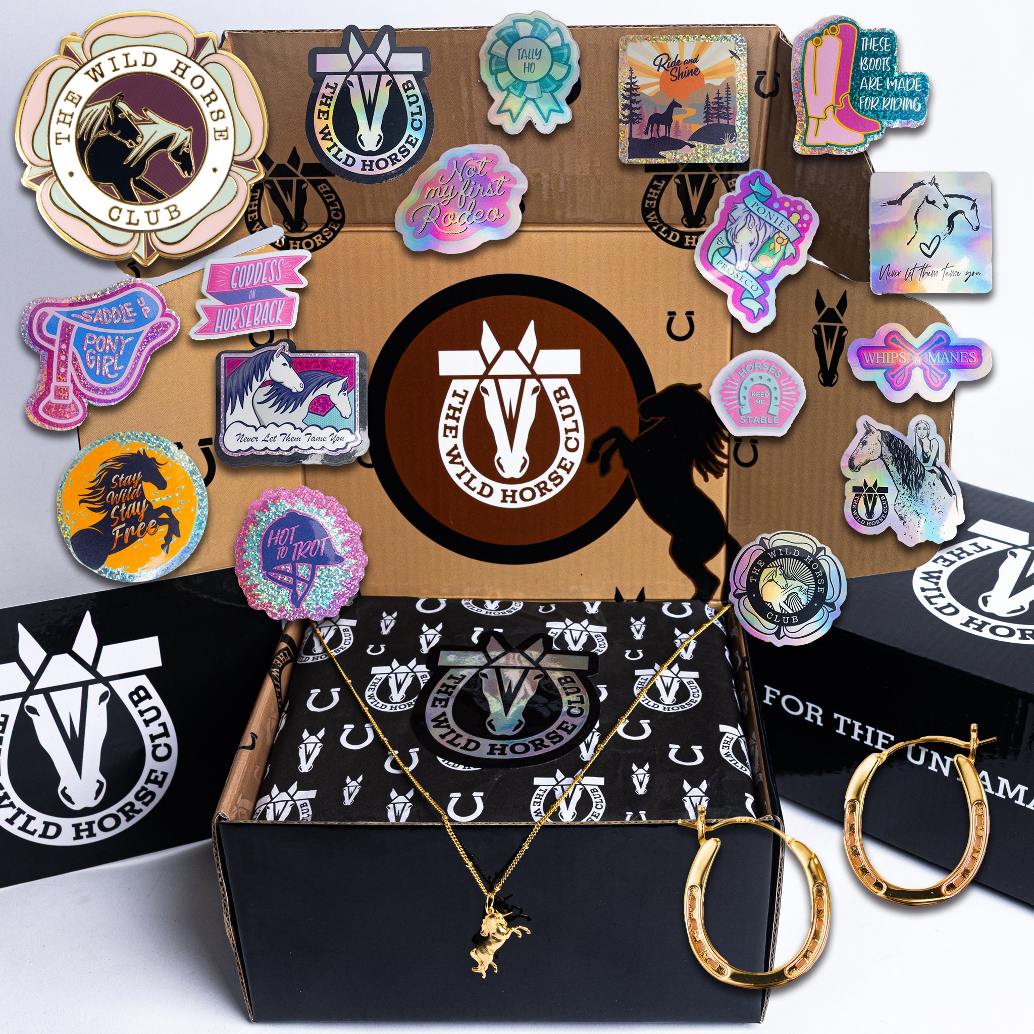 The Wish Keeper - Bronco