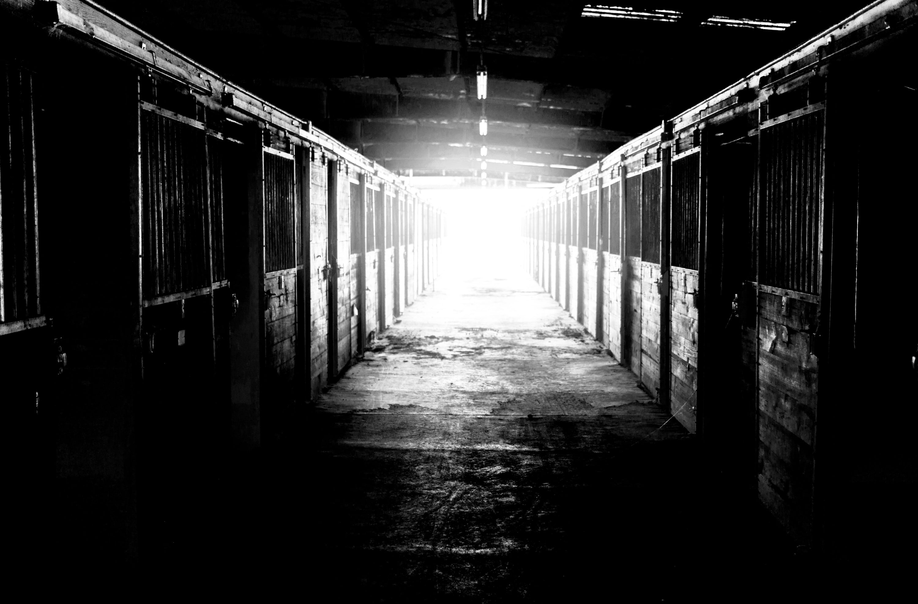 A black and white image of a stable hallway with sunlight at the end.