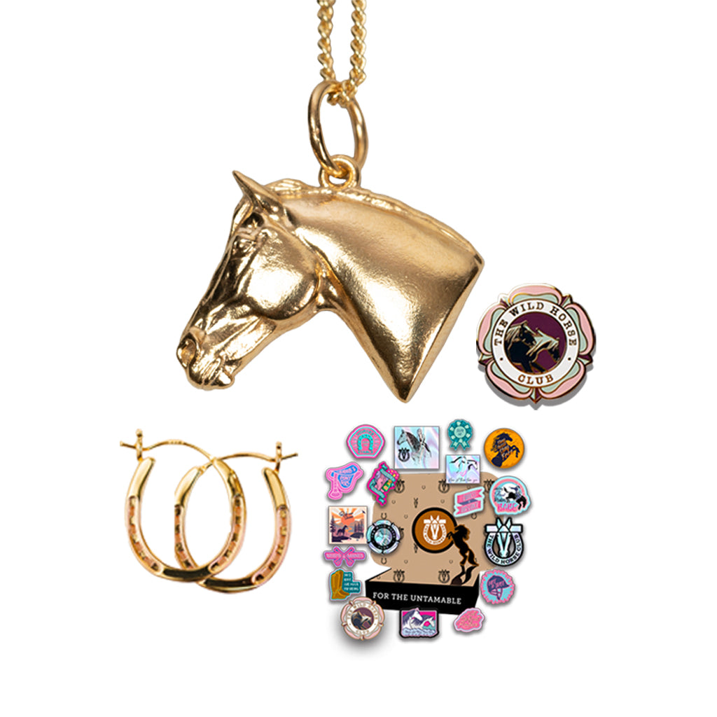 No Reigns No Rules - Bronco