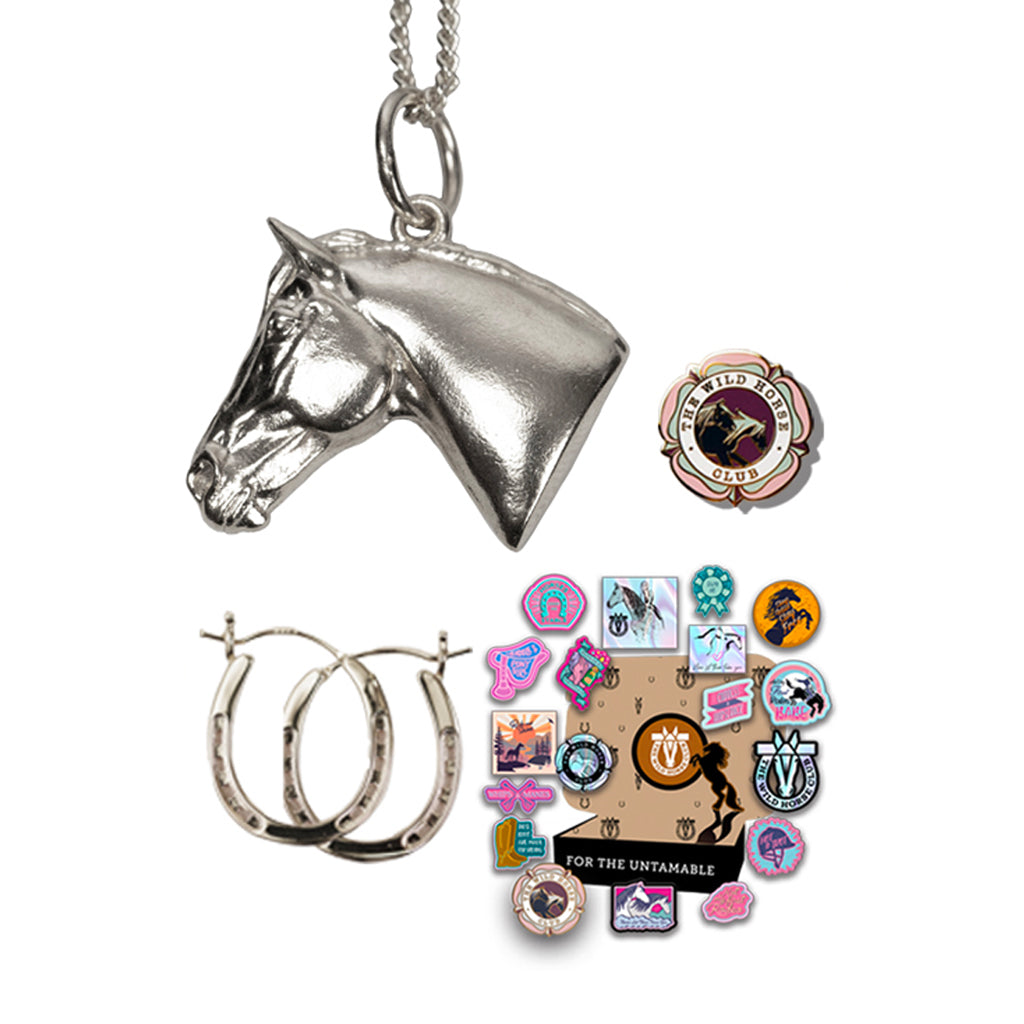 No Reigns No Rules - Bronco