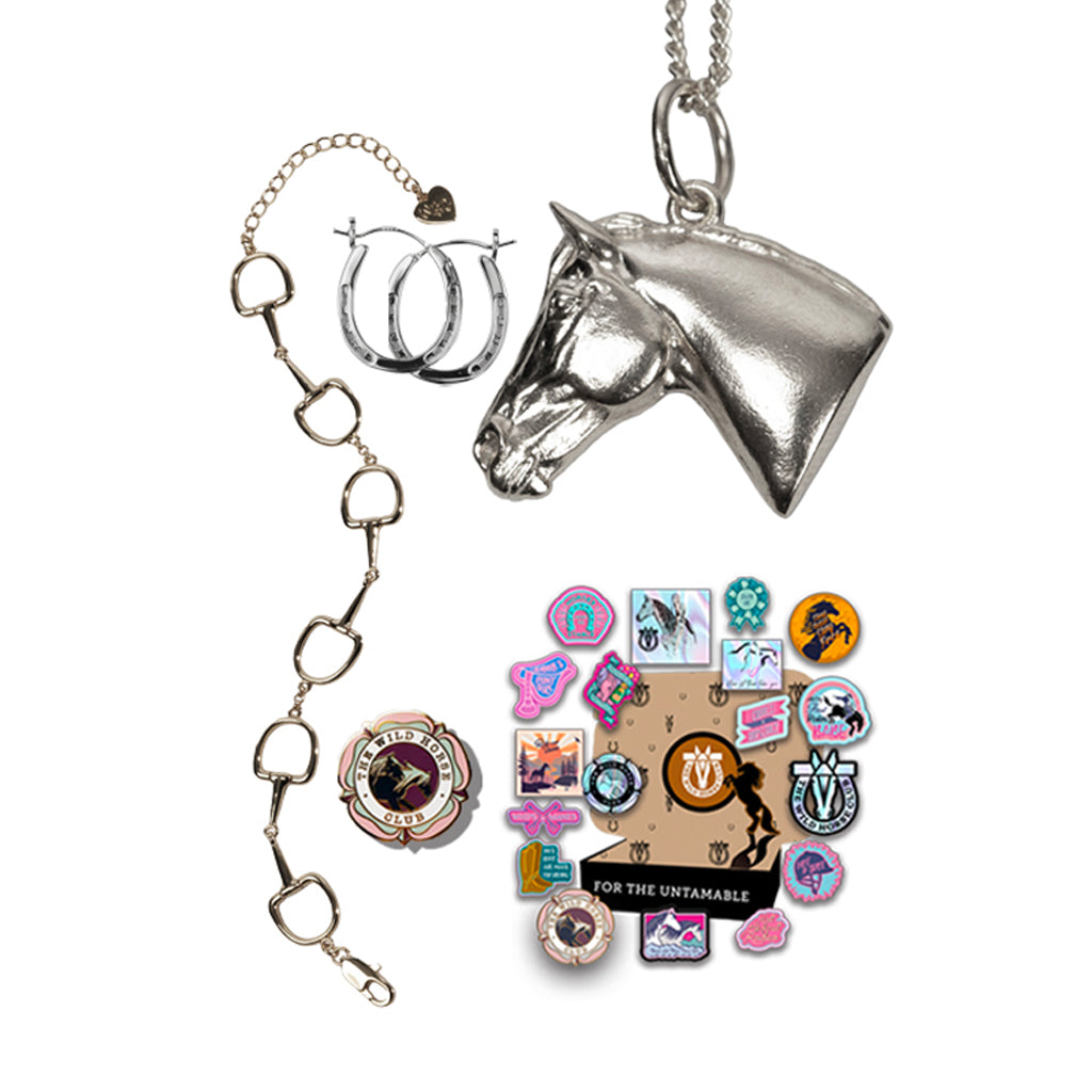 No Reigns No Rules - Mare