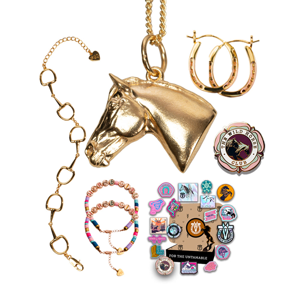 No Reigns No Rules - Stallion