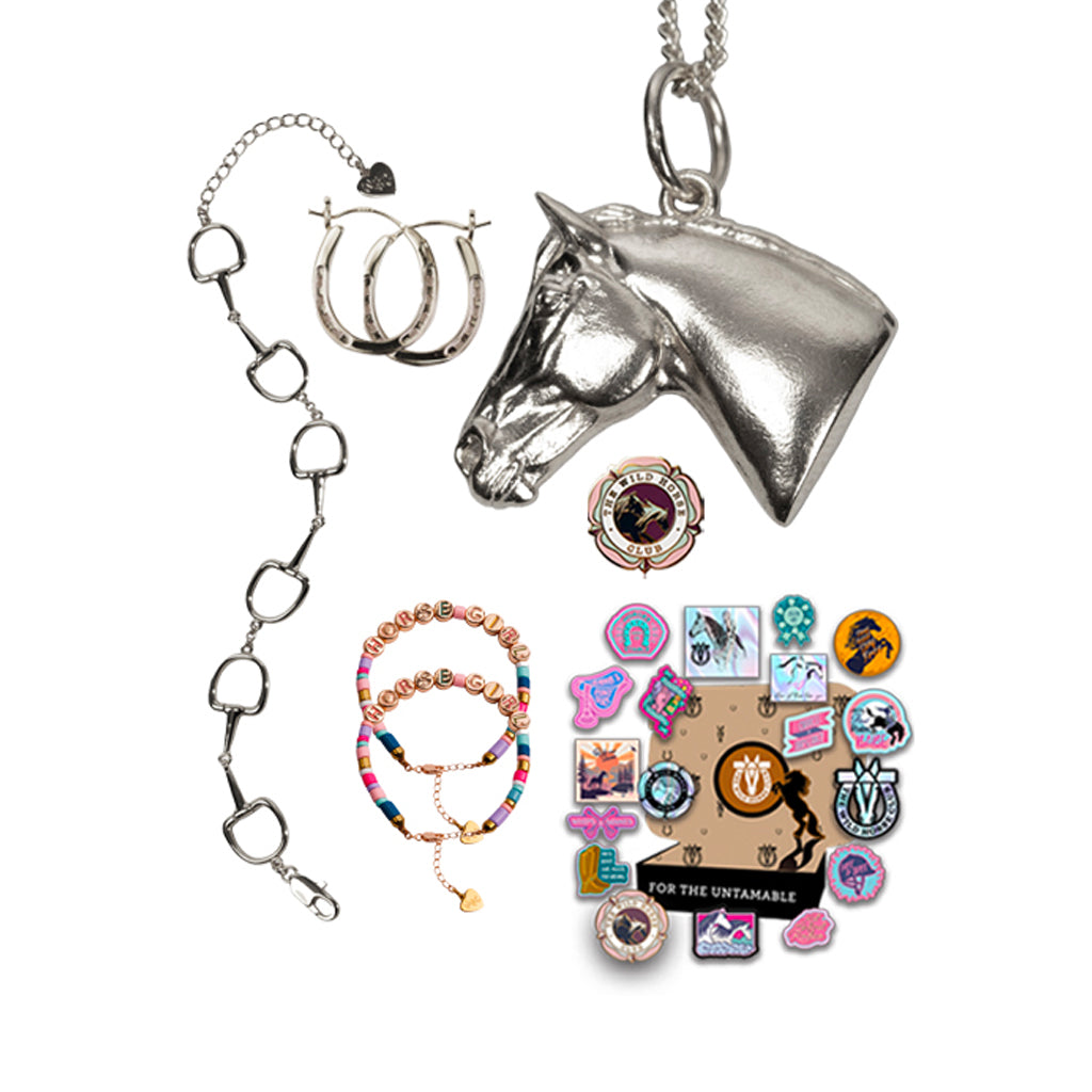 No Reigns No Rules - Stallion