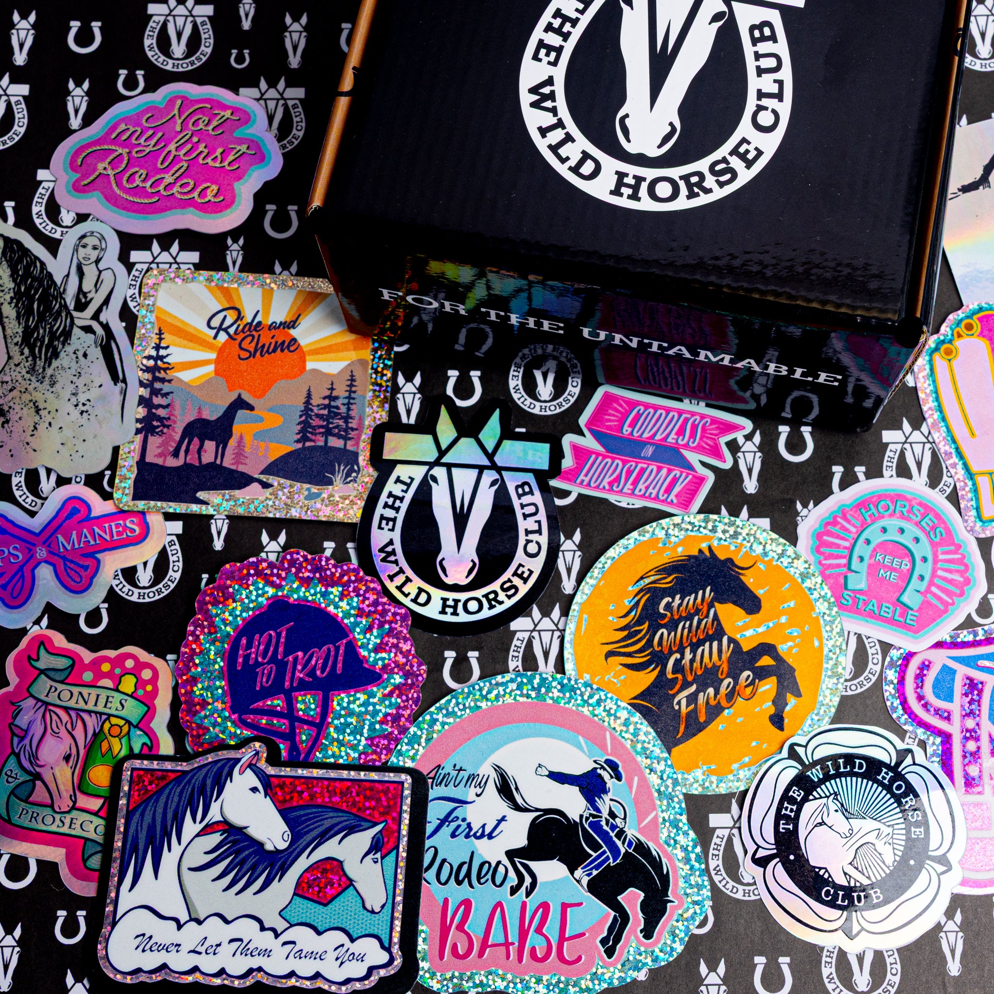 The Wild Stick Club Sticker collection for dusty horse girls