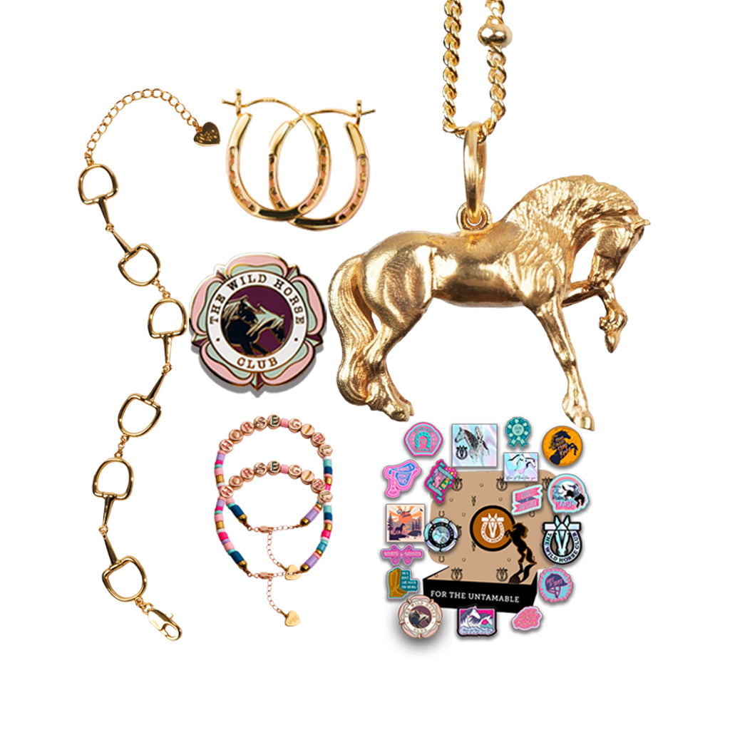 The Black King - Stallion