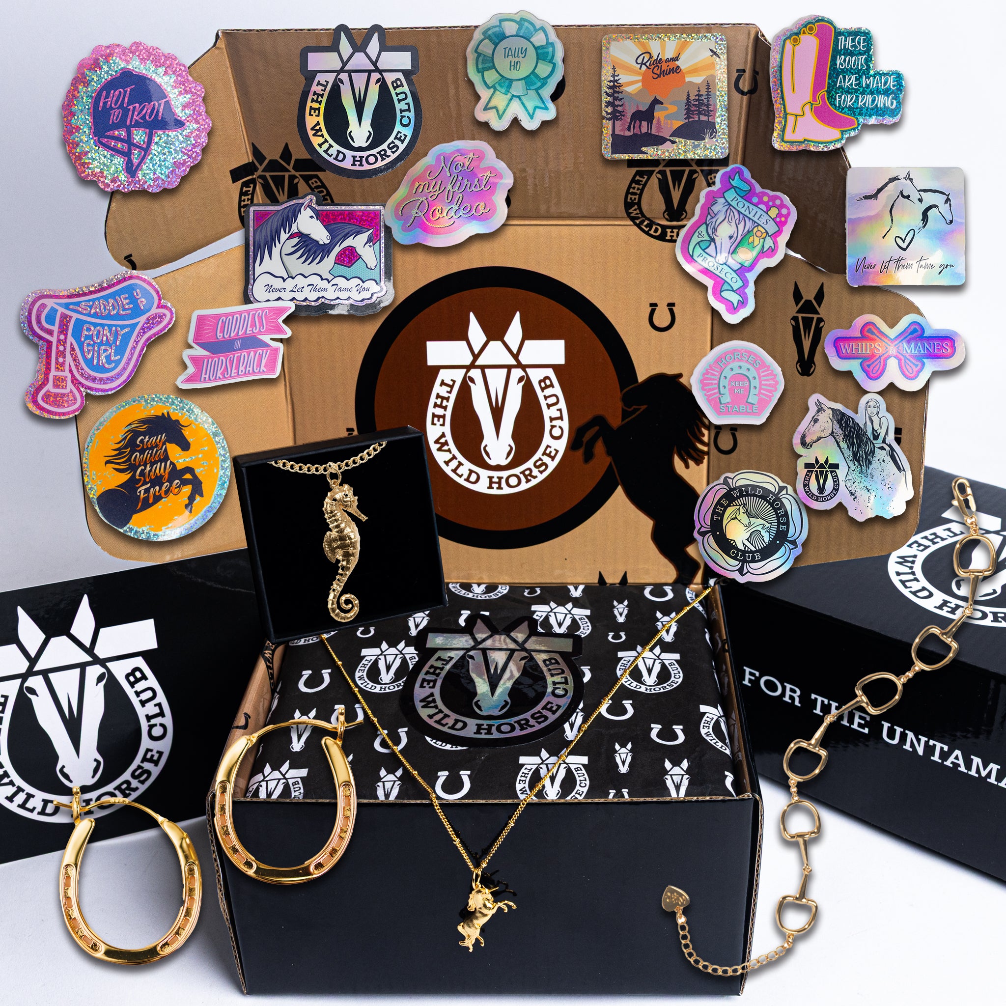 The Wish Keeper - Stallion