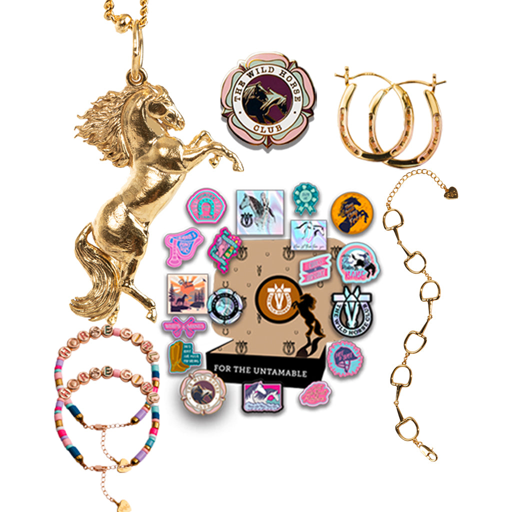 The Wild Flame - Stallion